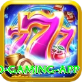 pk11 Turbo Gaming App