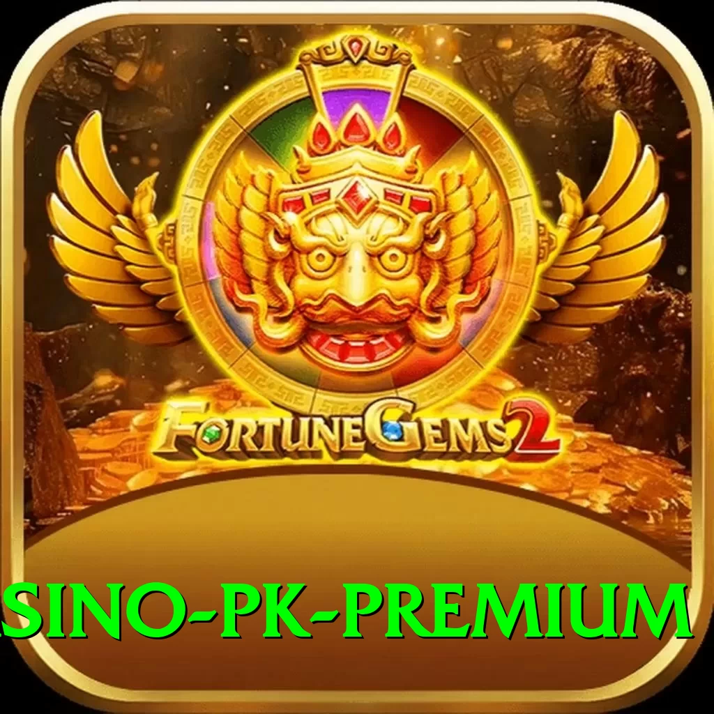 PKZ Casino PK Premium - 2
